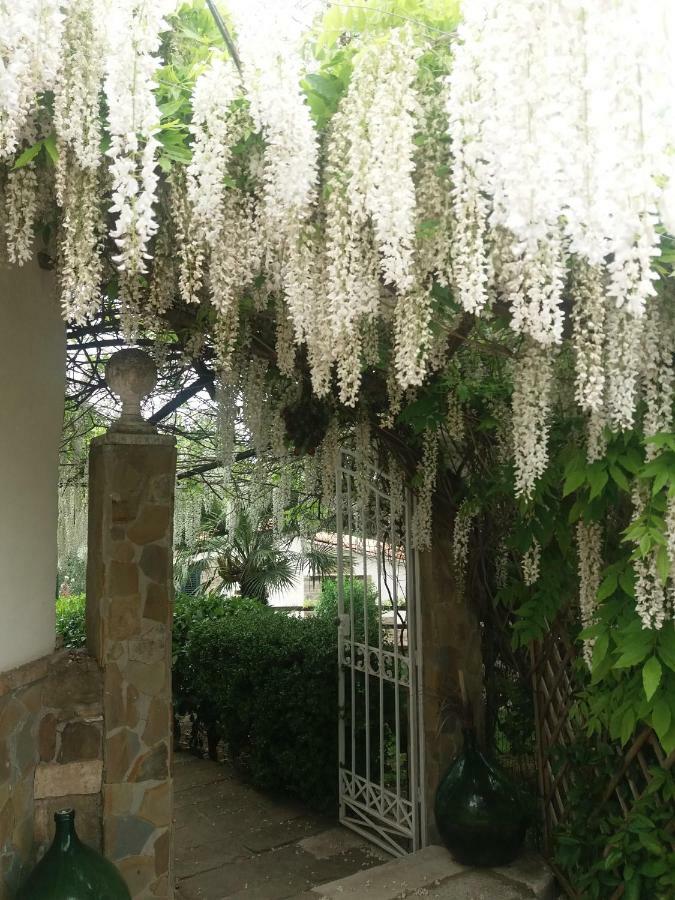 Agriturismo Terranova Пістіччі Екстер'єр фото